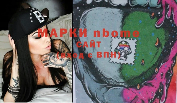 хмурый Бородино