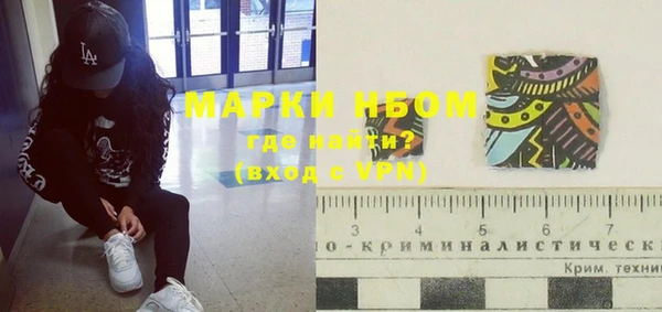 хмурый Бородино