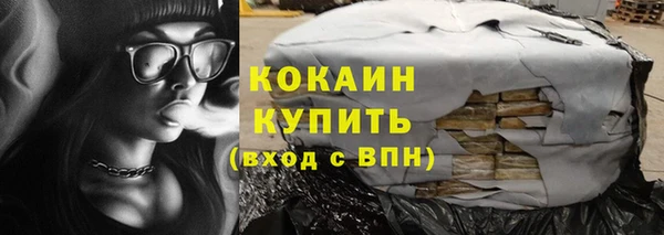 хмурый Бородино