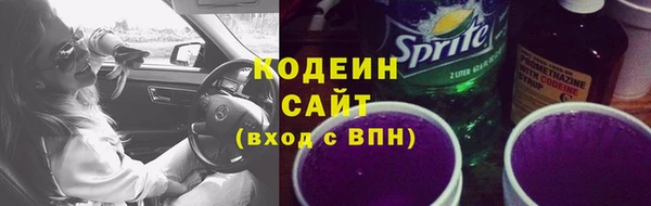 хмурый Бородино