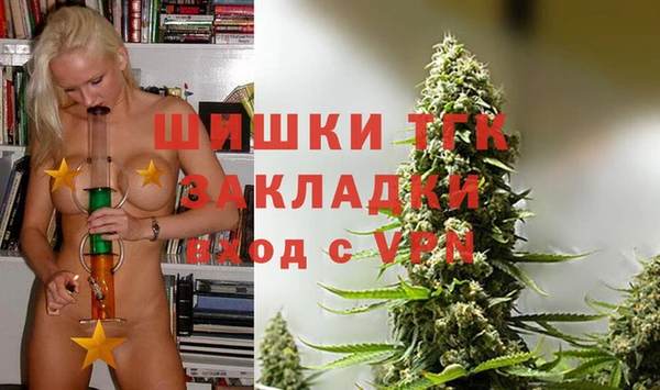 хмурый Бородино