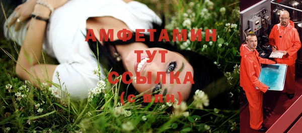 хмурый Бородино