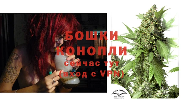 хмурый Бородино