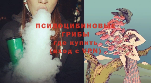 хмурый Бородино