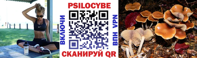 Псилоцибиновые грибы MAGIC MUSHROOMS  Купить где  Макушино 
