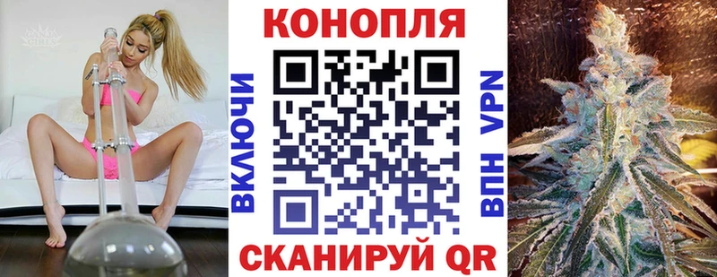 Бошки Шишки Amnesia  Купить где  Макушино 